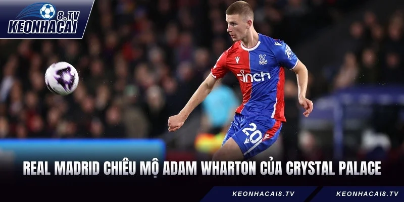 Real Madrid chính thức chiêu mộ tiền vệ Adam Wharton của Crystal Palace