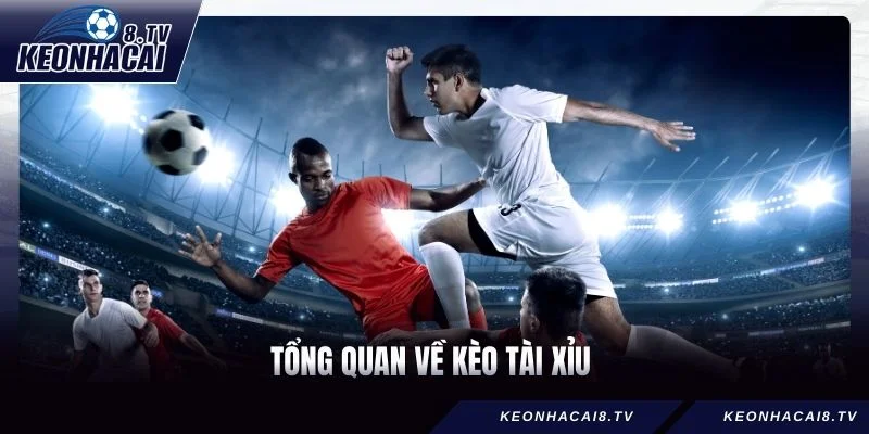 Tổng quan về kèo Tài Xỉu 