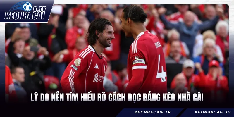 Lý do nên tìm hiểu rõ cách đọc bảng kèo nhà cái